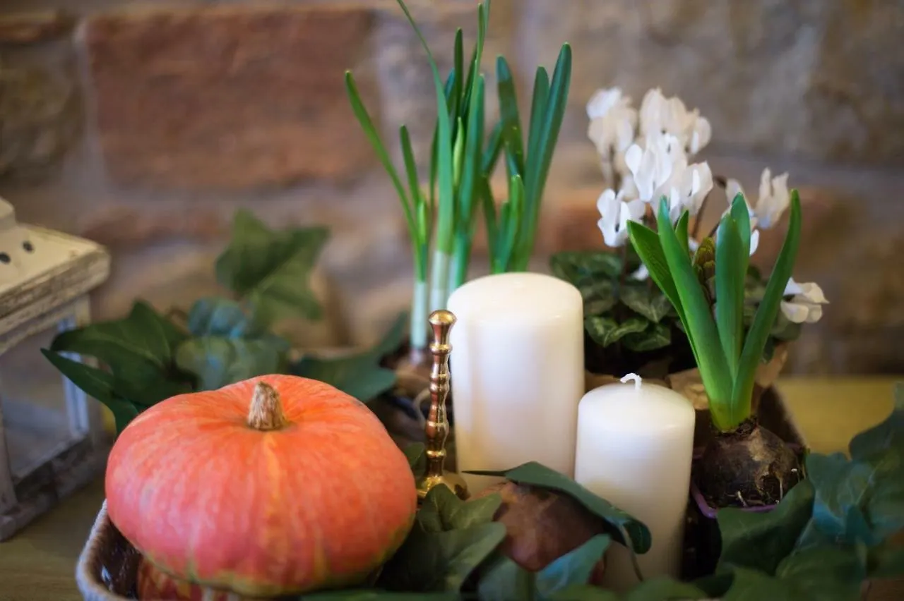 Bed & Breakfast Villa Dacia Guiglia